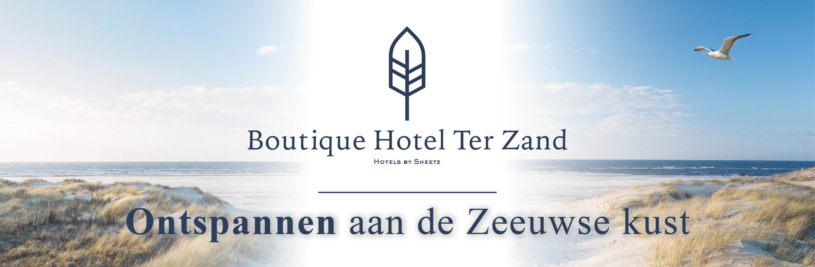 10894 Boutique Hotel Ter Zand (Ter Zand Exploitatie)